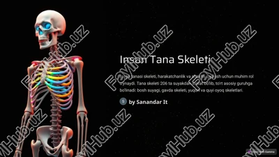inson tana skeleti — PPTX