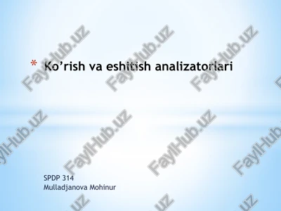 ko’rish analizatori — PPTX