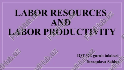 labor resources — PPTX