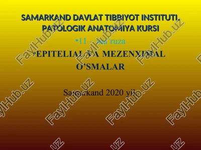 epitelial va mezenximal o’smalar — PPT