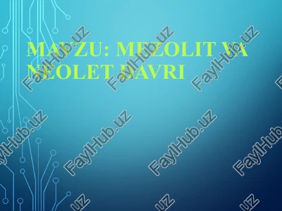mezolit va neolit davri — PPT