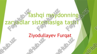tashqi maydonning zaradlarsistemasigatasiri — PPTX