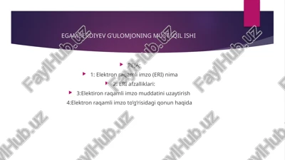 elektron raqamli imzo (eri) — PPTX