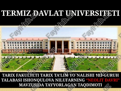 neolit davri — PPTX