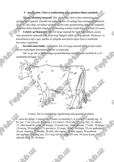 chorva mollarining tana qismlari — DOCX