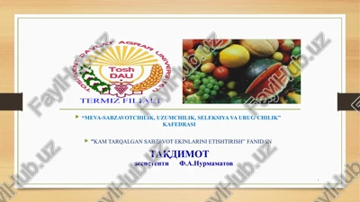 rayhon o’simligini yetishtirish texnologiyasi — PPTX