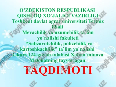 so`zlarning ma`noliq ismlari — PPTX