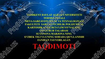 suyunova marjona ningo’zbek tili va uning sohada qo’llanishi fani — PPTX