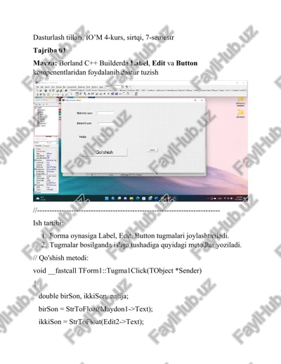 borland c++ builder — DOCX