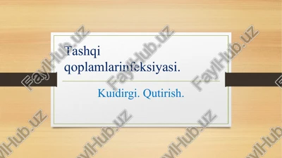tashqiiqoplamlarinfeksiyasi — PPTX