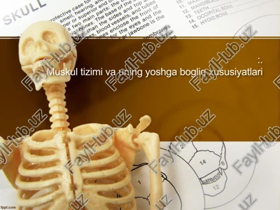 muskultizimivauningyoshgabogliqxususiyatlari — PPTX