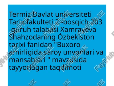 buxoro amirligida saroyun vonlari va mansablari — PPTX