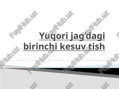 yuqorijag’da birinchi kesuvtish — PPTX