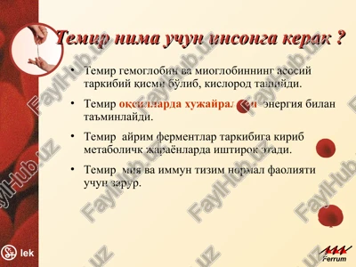 temir — PPT