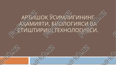 artishok — PPTX