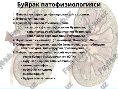 buyrak patofiziologiyasi — PPT