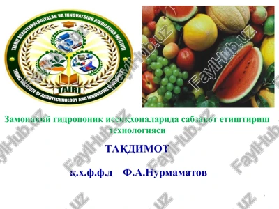 gidroponika issiqxonalarida sabzavot etishtirish texnologiyasi — PPT