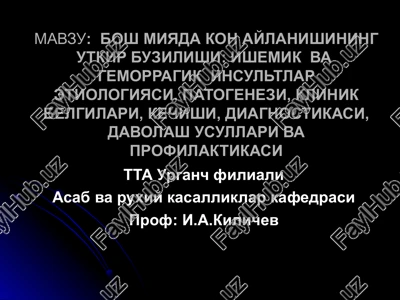 insultlar etiologiyasi — PPT