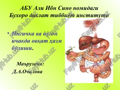 ingichka va yo'g'on ichakda ovqat hazm bo'lishi — PPT