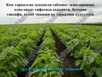 kam tarqalgan dukkakli sabzavot — PPTX