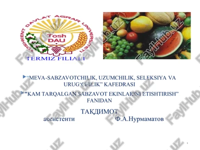 kam tarqalgan sabzavot ekinlarini etishtirish — PPT