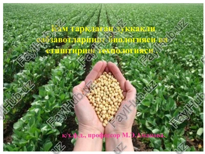 dukkakli sabzavotlarning biologiyasi va etishtirish texnologiyasi — PPTX