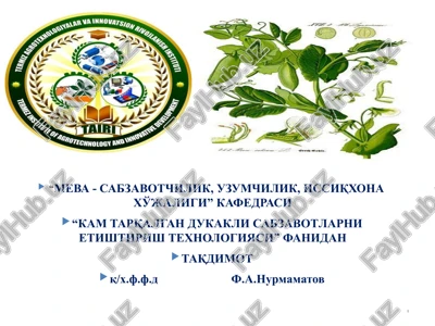 kam tarqlagan dukkakli sabzavotlar — PPTX
