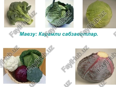 karamli sabzavotlar — PPT