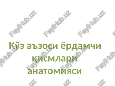 ko'z a'zosi yordamchi qismlari anatomiyasi — PPT