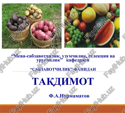 kartoshkani ahamiyati, biologiyasi, va navlari, urug'lik tuganaklarni ekish texnologiyasi — PPT