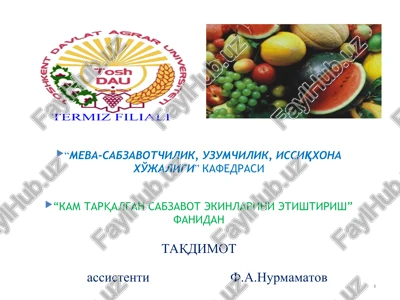 kam tarqalgan sabzavot ekinlarining iste'mol organlari — PPT