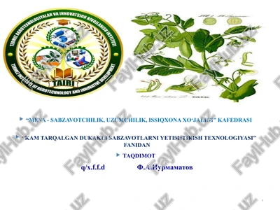 kam tarqalgan dukkakli sabzavot ekinlari — PPTX