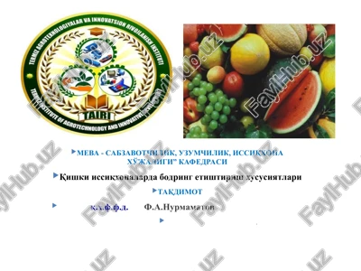 meva - sabzavotchilik, uzumchilik, issiqxona xo'jaligi” kafedrasi — PPT