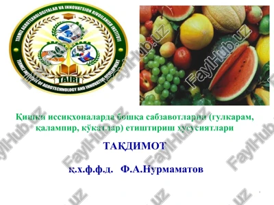 issiqxonalarda boshqa sabzavotlarni etishtirish — PPT
