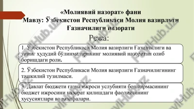 moliyaviy nazorat — PPTX