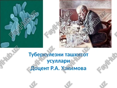 tuberkuleznitashxisotusullari — PPTX