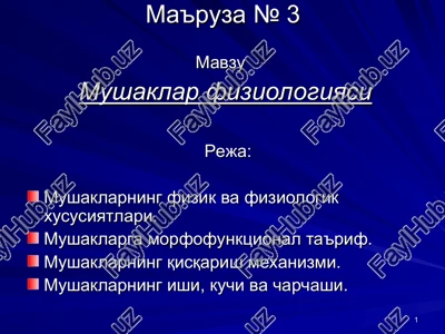 ma'ruza №3 — PPT