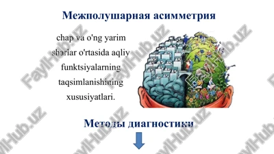 mejpolusharnaya asimmetriya — PPT