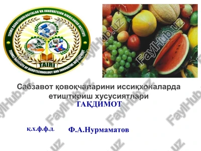 sabzavot qovoqchalarini issiqxonalarda etishtirish xususiyatlari — PPT
