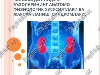 siyodik a'zolarining anatomo-fiziologik xususiyatlari — PPT