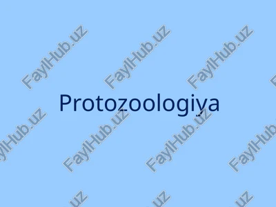 protozoologiya — PPTX