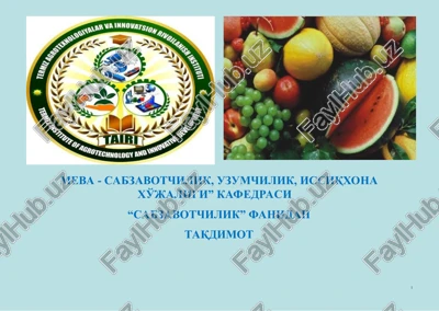 to'qsonbosti muddatda sabzavotlarni etishtirish xususiyatlari — PPT