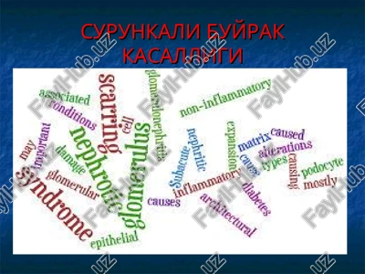 surunkali buyrak kasalligi — PPT