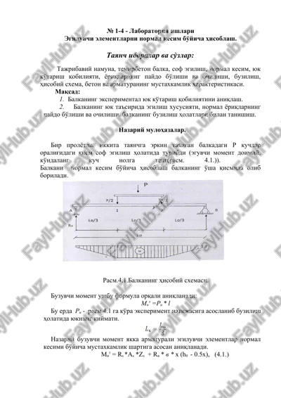 laboratoriya ishlari — DOCX