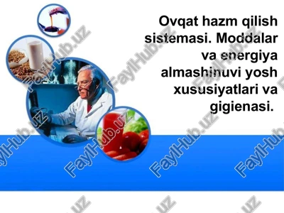 ovqathazmqilishsistemasi — PPTX