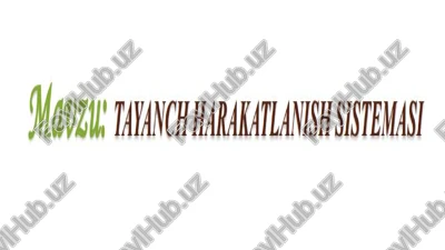 tayanch harakatlanish sistemasi — PPTX
