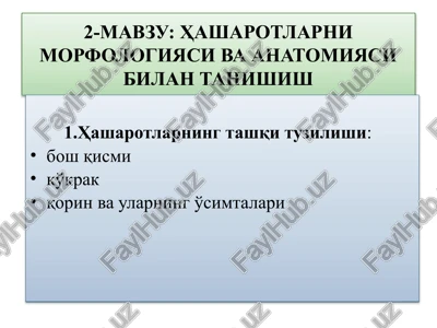 hasharotlarning tashqi tuzilishi — PPTX