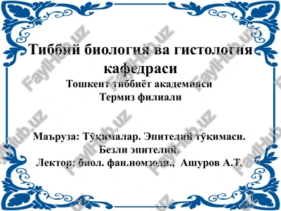 tӯqimalar. epiteliytӯqimasi — PPTX