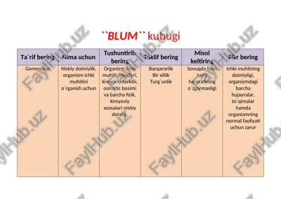blum kubugi — DOCX