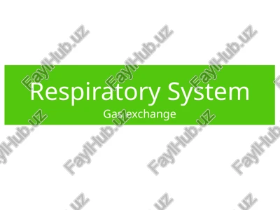 respiratory system — PPTX